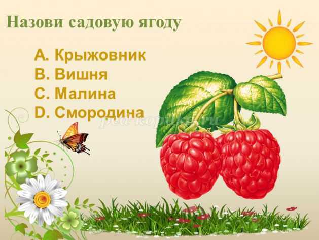 Викторина на тему «здоровый образ жизни»: с ответами