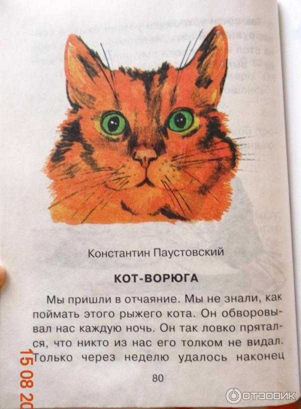 Кот-ворюга. рассказ константина паустовского, читать онлайн