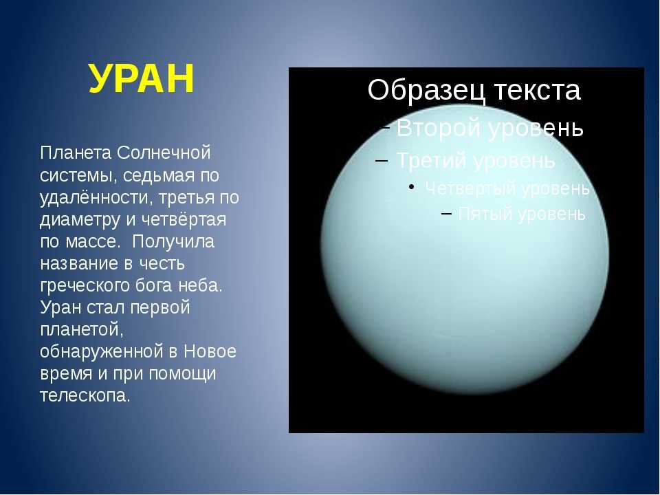 10+ лучших тестов на эрудицию и знания онлайн бесплатно