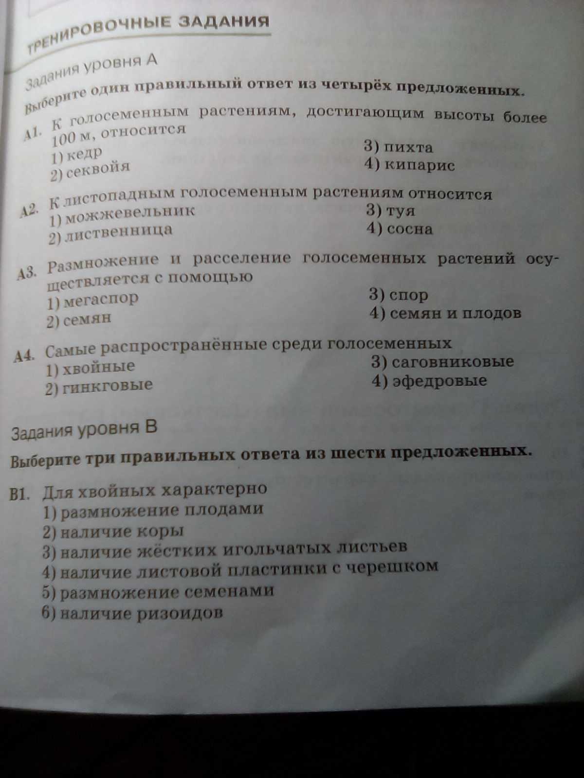 Тест по биологии в 7 классе «отдел голосеменные растения» | doc4web.ru