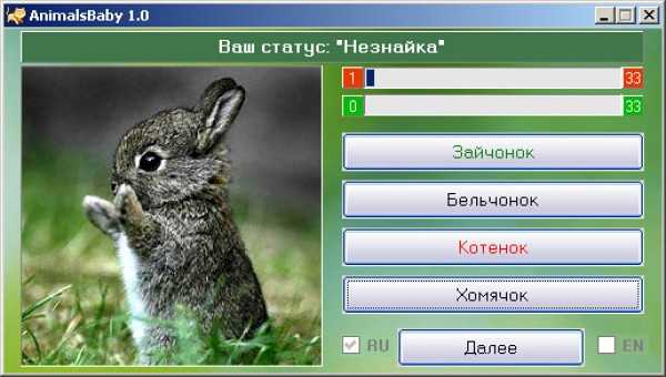 Викторина про животных для детей 7-10 лет, с ответами