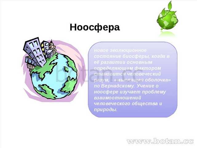 Ноосфера это. Биосфера презентация 11 класс. Ноосфера это в биологии. Биосфера урок биологии презентация. Биосфера биология 11 класс.