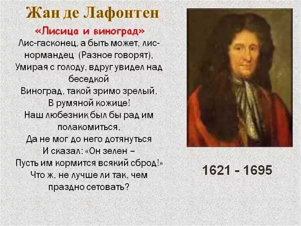 Волк: все факты, где живет, чем питается, волк против медведя