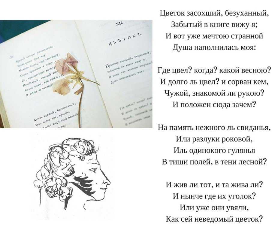 Александр пушкин — соловей и роза
