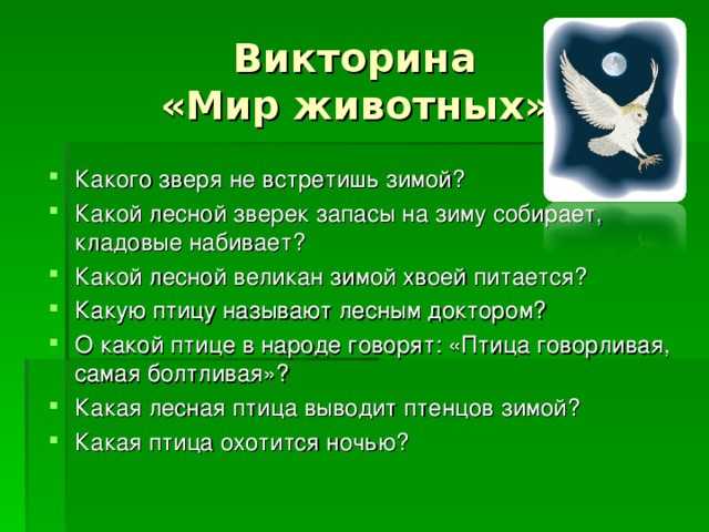 Экологическая викторина для старшеклассников с ответами презентация