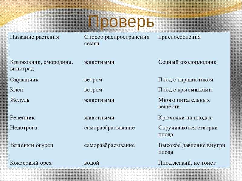 Викторина для детей 6-7 лет с ответами