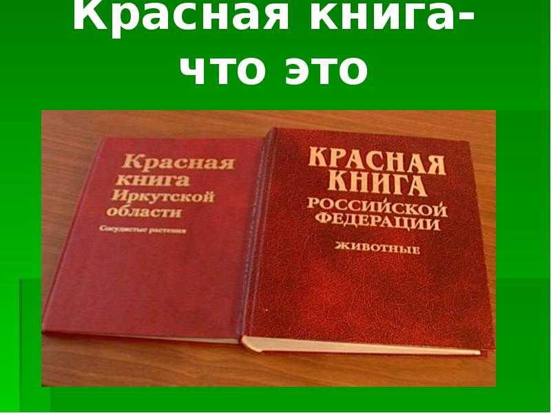 Мы из красной книги
электронная викторина презентация, доклад, проект