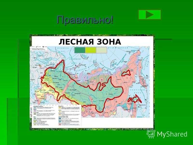 Geo. мини-тест: природные зоны россии