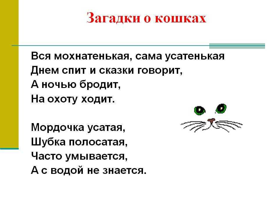 Викторина про кошек с ответами для 3-4 класса