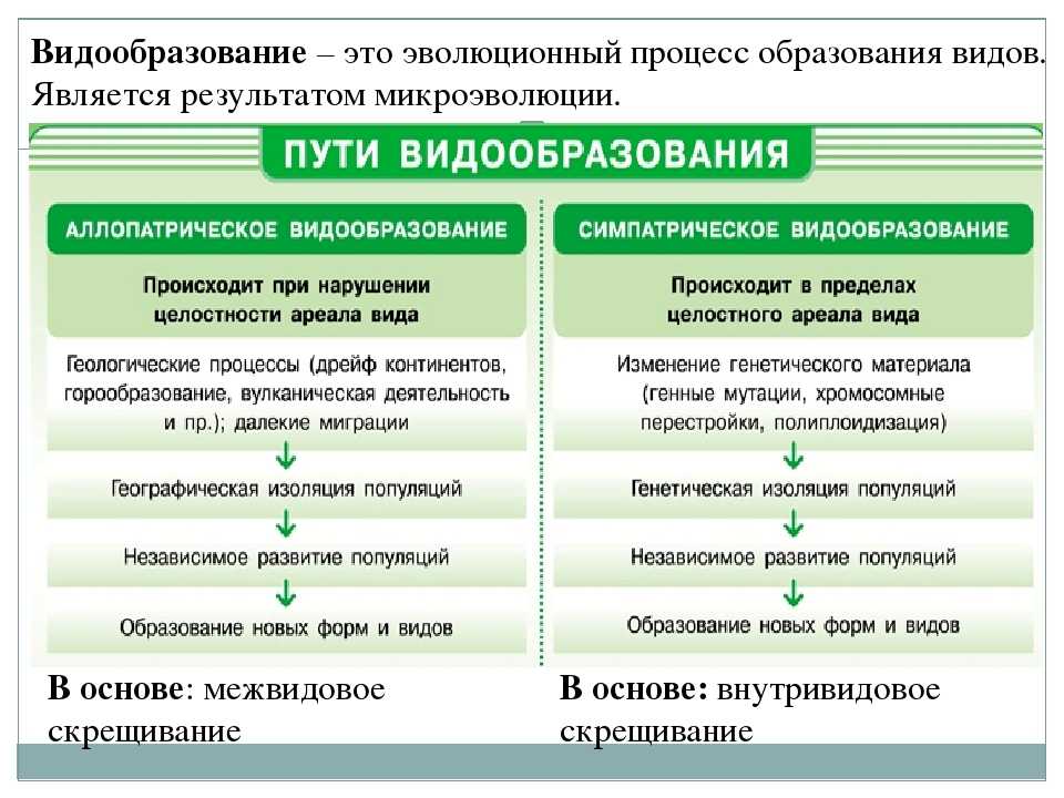 Схема аллопатрического видообразования