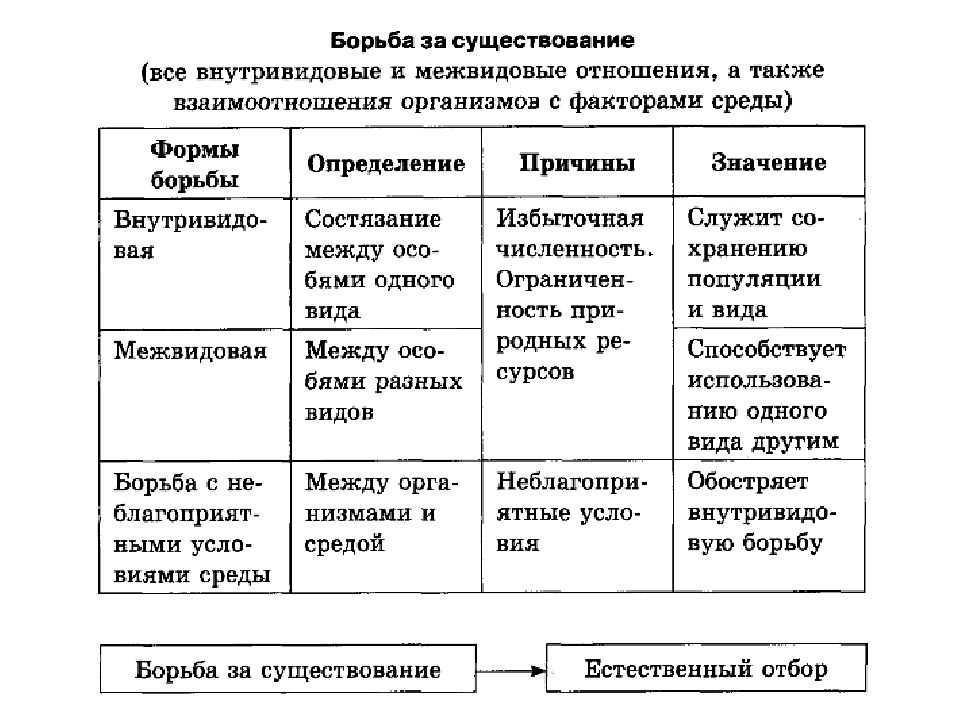 Проект борьба за существование