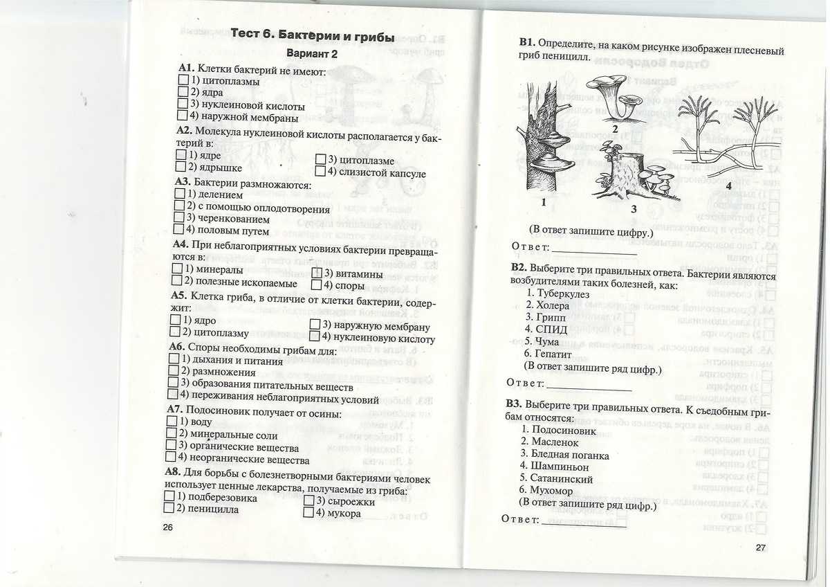 Тесты, тестирование по биологии к учебнику в.в. пасечника