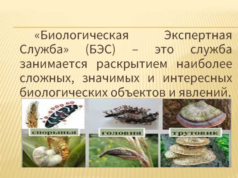 Тест по биологии грибы 5 класс