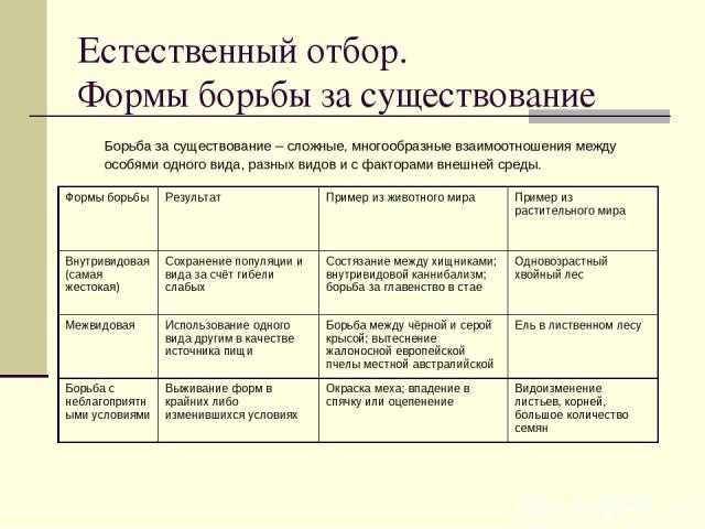 Борьба за существование и естественный отбор презентация 9 класс