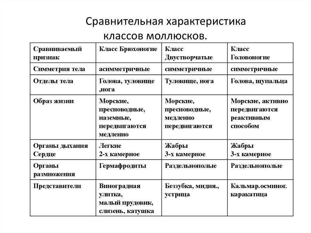 Презентация тип моллюски 7 класс биология общая характеристика