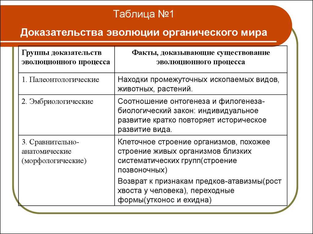 Направления макроэволюции схема