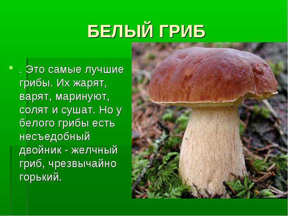 Викторина «умники и умницы» для детей подготовительной группы