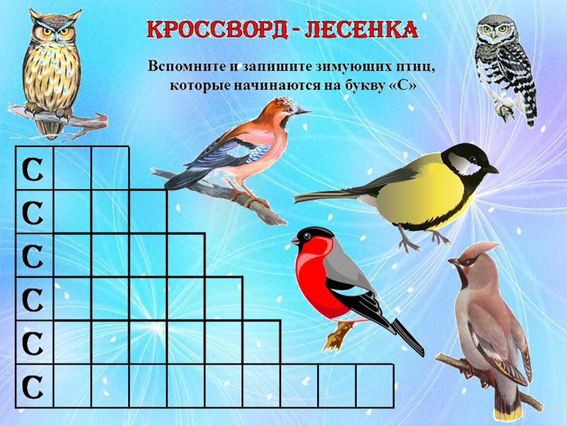Дидактические игры «птицы»: картотека игр и упражнений