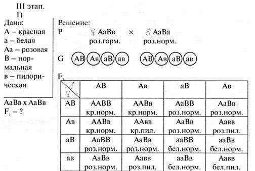 Схема аавв х aabb иллюстрирует скрещивание 1 моногибридное 2 полигибридное